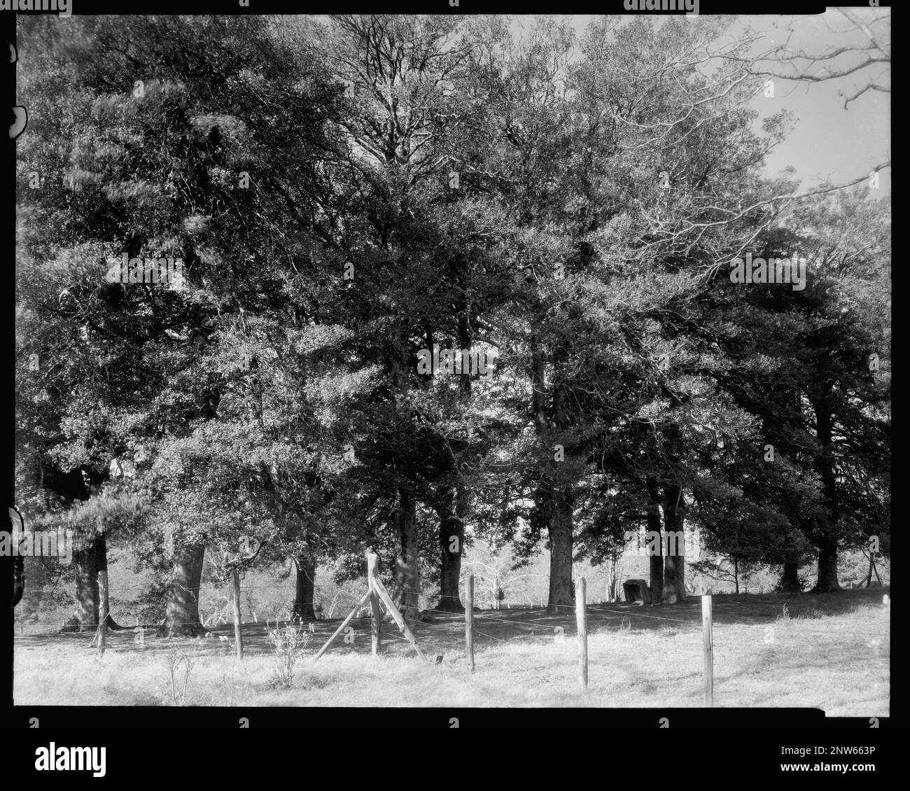 The Mansion, Bowling Green, Caroline County, Virginia. Carnegie Survey ...