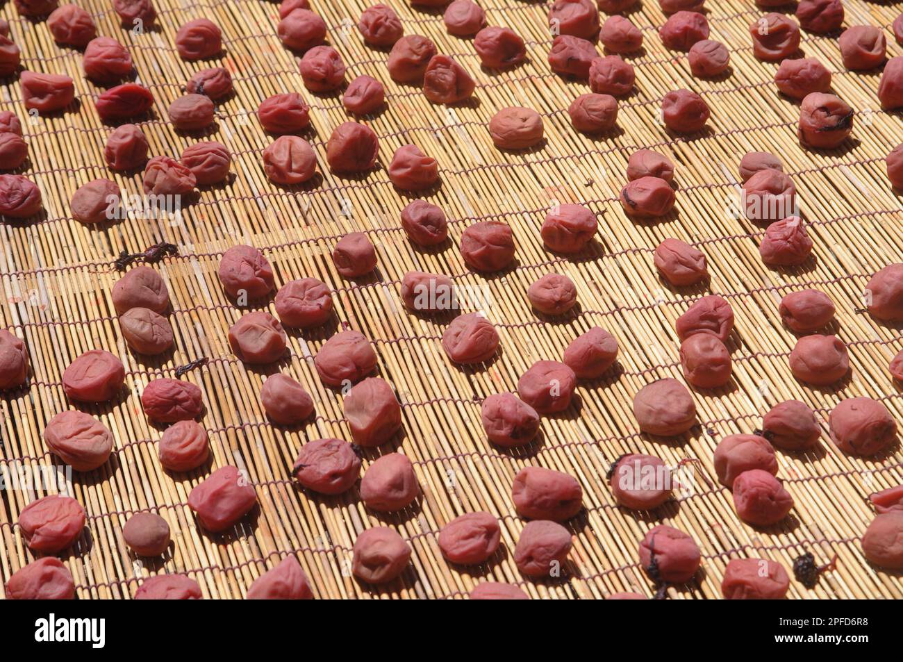 Umeboshi in the sun Stock Photo