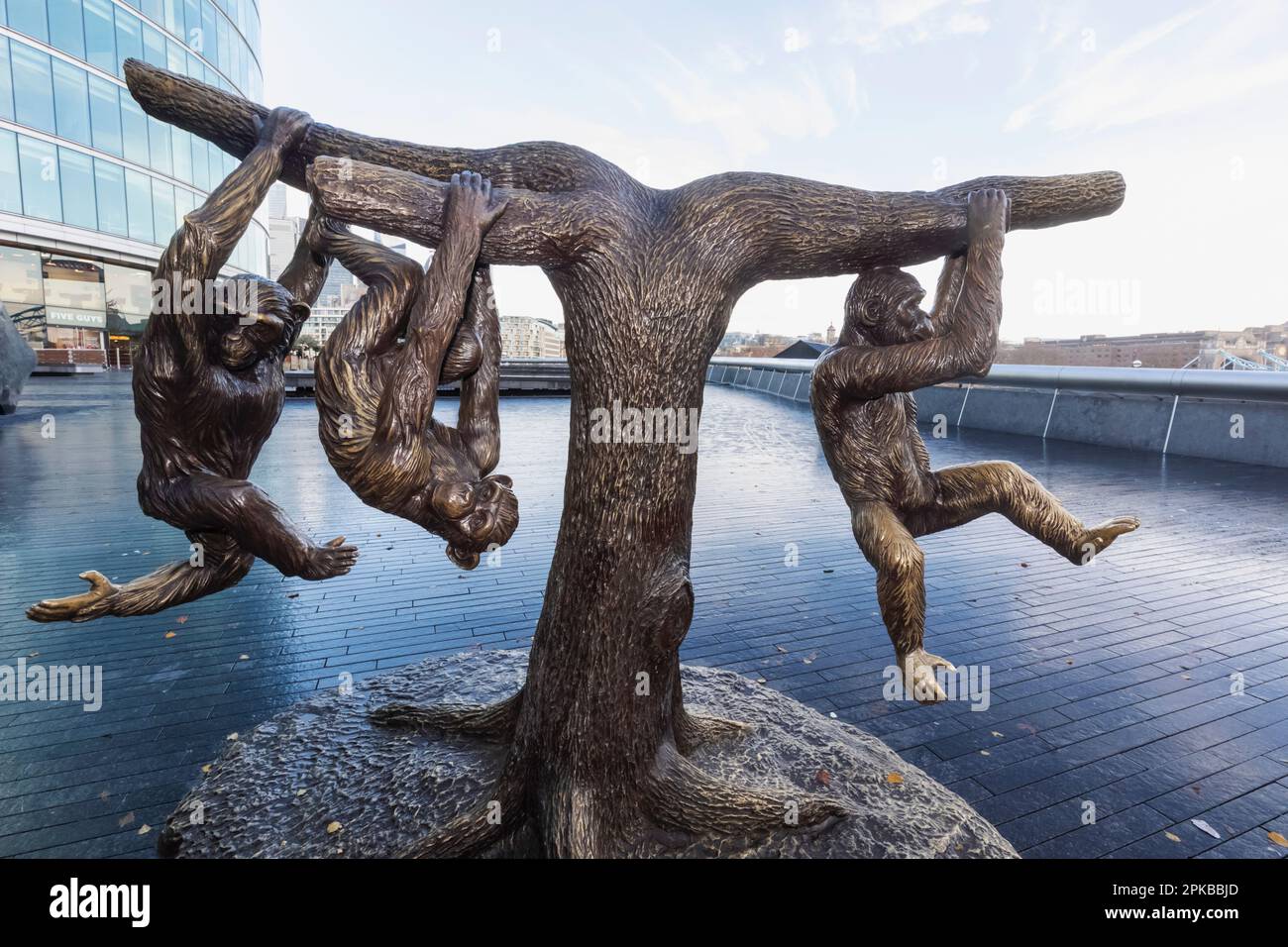 England, London, Southwark, More London Place, Statue of Three Chimpanzees Swinging from Tree Branches by Gillie and Marc Stock Photo