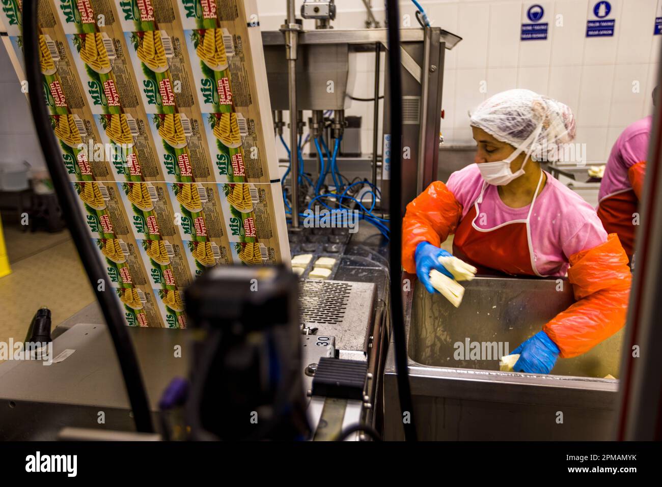 Dairy and hellim (halloumi) cheese production in Nicosia, Cyprus Stock Photo