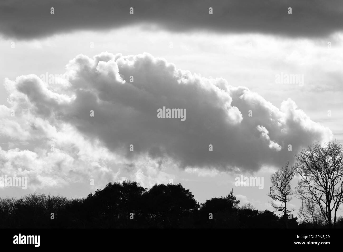 A cloudy sky with trees in the foreground, black and white photo Stock ...