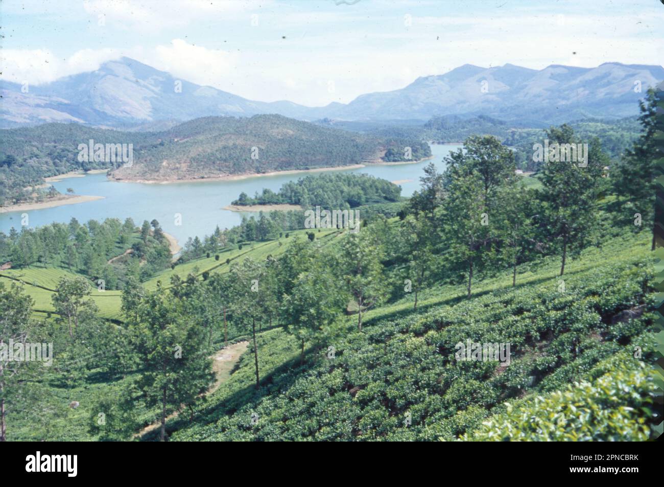 Munnar is a town in the Western Ghats mountain range in India’s Kerala state. A hill station and former resort for the British Raj elite, it's surrounded by rolling hills dotted with tea plantations established in the late 19th century. Eravikulam National Park, a habitat for the endangered mountain goat Nilgiri tahr, is home to the Lakkam Waterfalls, hiking trails and 2,695m-tall Anamudi Peak. Stock Photo