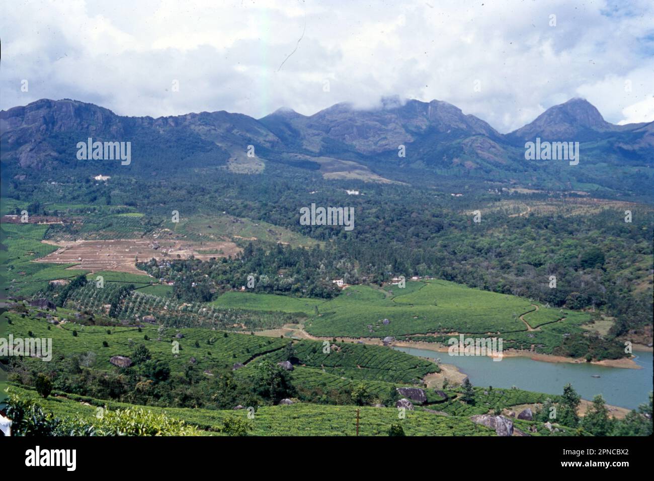 Munnar is a town in the Western Ghats mountain range in India’s Kerala state. A hill station and former resort for the British Raj elite, it's surrounded by rolling hills dotted with tea plantations established in the late 19th century. Eravikulam National Park, a habitat for the endangered mountain goat Nilgiri tahr, is home to the Lakkam Waterfalls, hiking trails and 2,695m-tall Anamudi Peak. Stock Photo