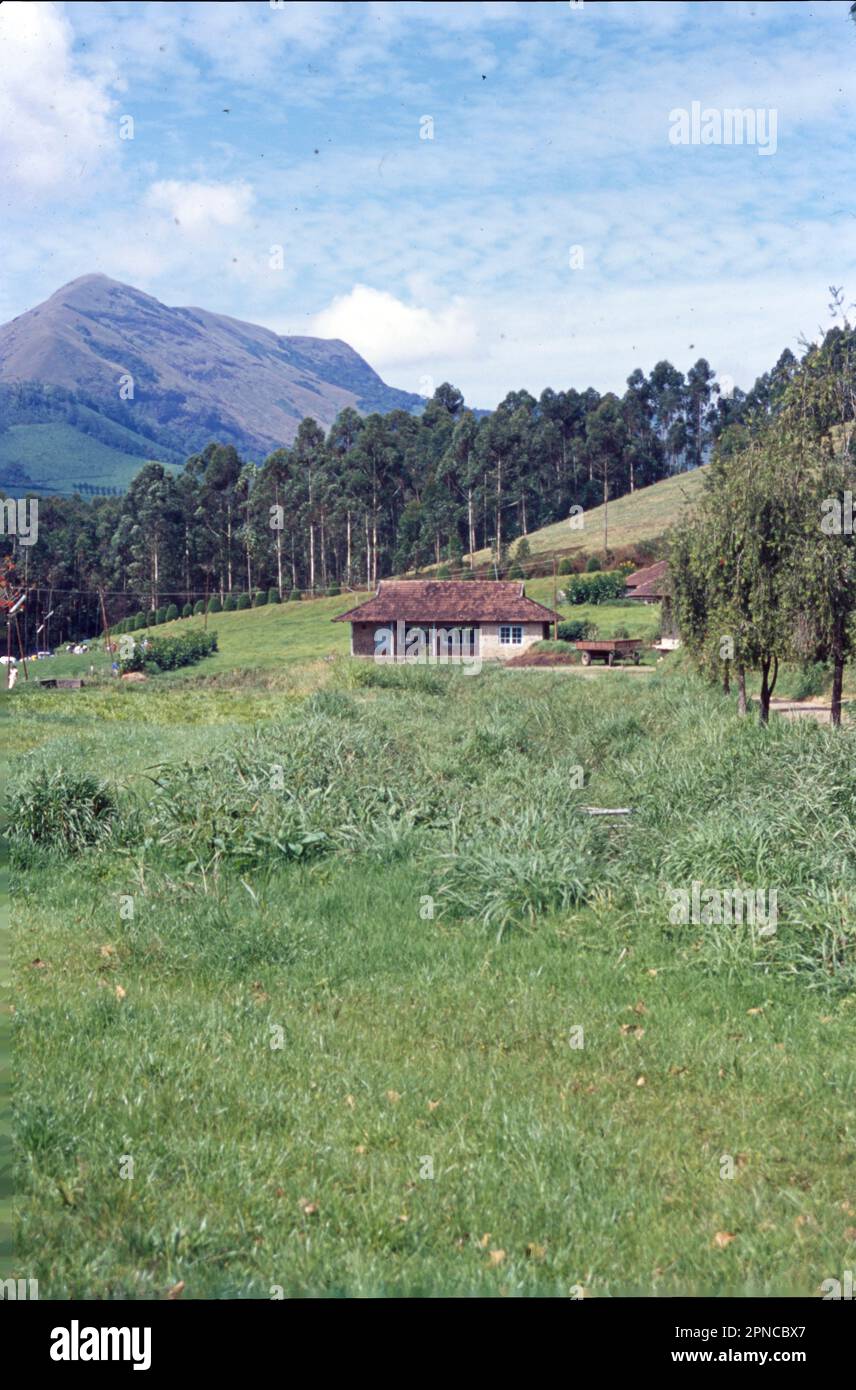 Munnar is a town in the Western Ghats mountain range in India’s Kerala state. A hill station and former resort for the British Raj elite, it's surrounded by rolling hills dotted with tea plantations established in the late 19th century. Eravikulam National Park, a habitat for the endangered mountain goat Nilgiri tahr, is home to the Lakkam Waterfalls, hiking trails and 2,695m-tall Anamudi Peak. Stock Photo