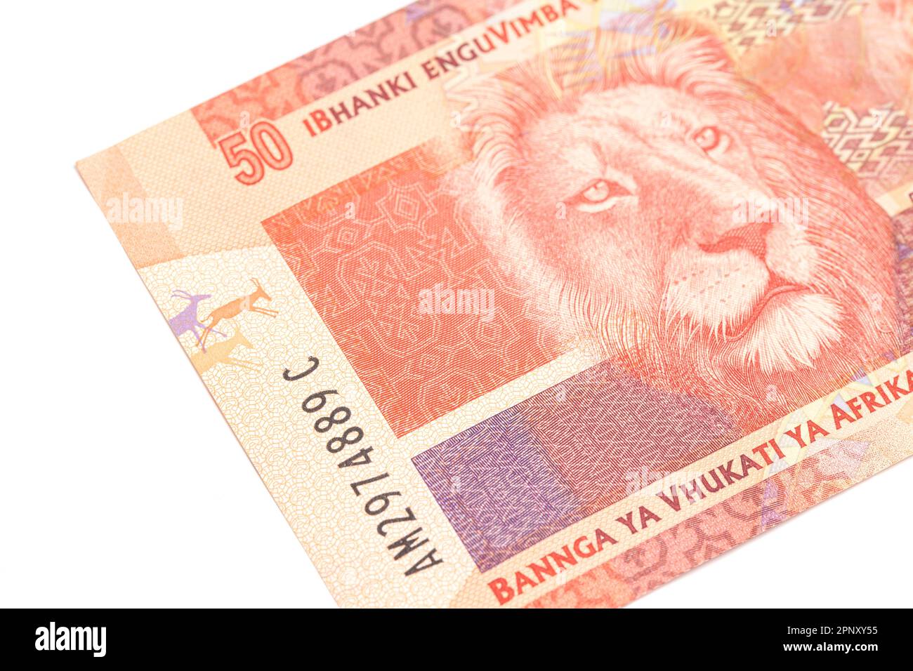 South African money 50 rand banknote. Stock Photo