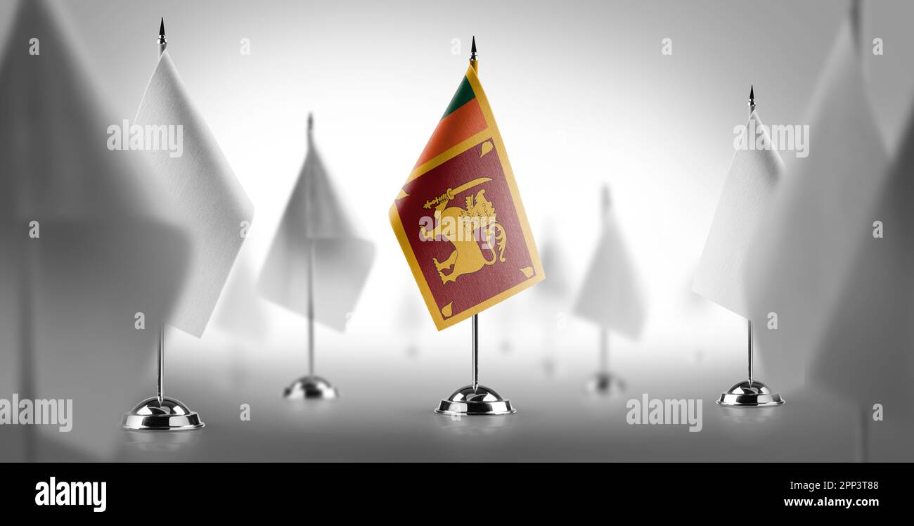 The national flag of the Sri Lanka surrounded by white flags. Stock Photo