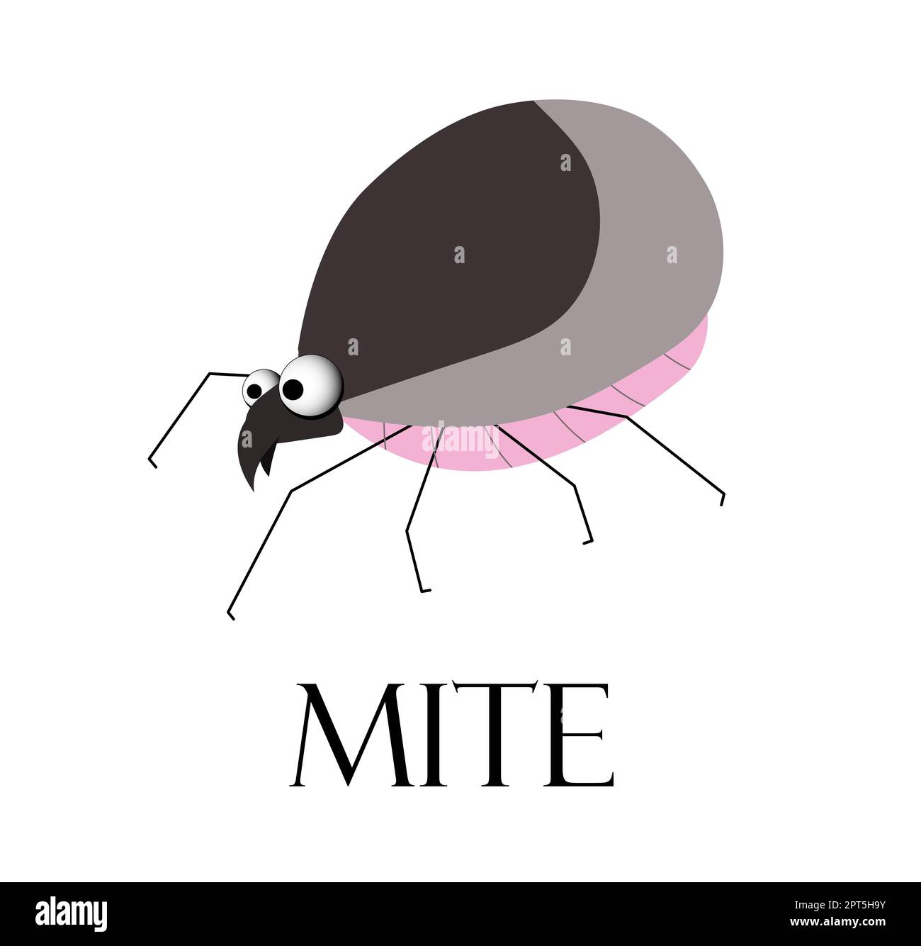 mite. Teak is a blood-sucking insect. The parasite is a tick. Summer epidemic. Lyme Disease Stock Photo