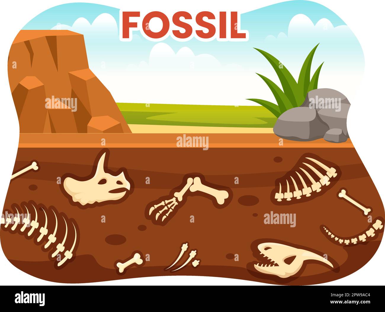 Fossil Illustration with Archaeologists Finds Dinosaurs Skeletons on ...