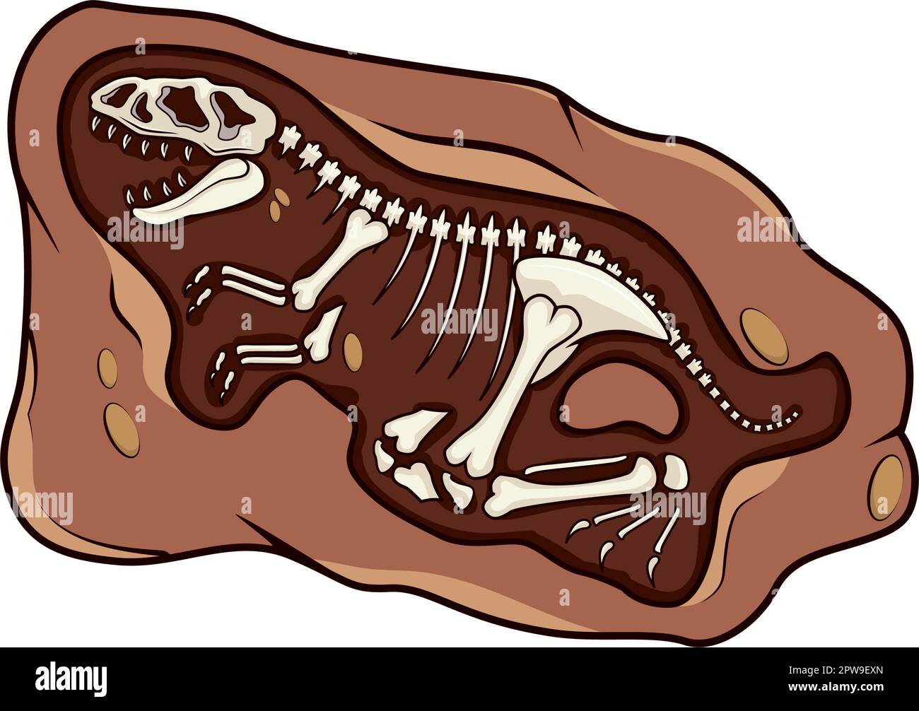 Detailed Dinosaur Fossil Illustration with Cartoon Style Stock Vector