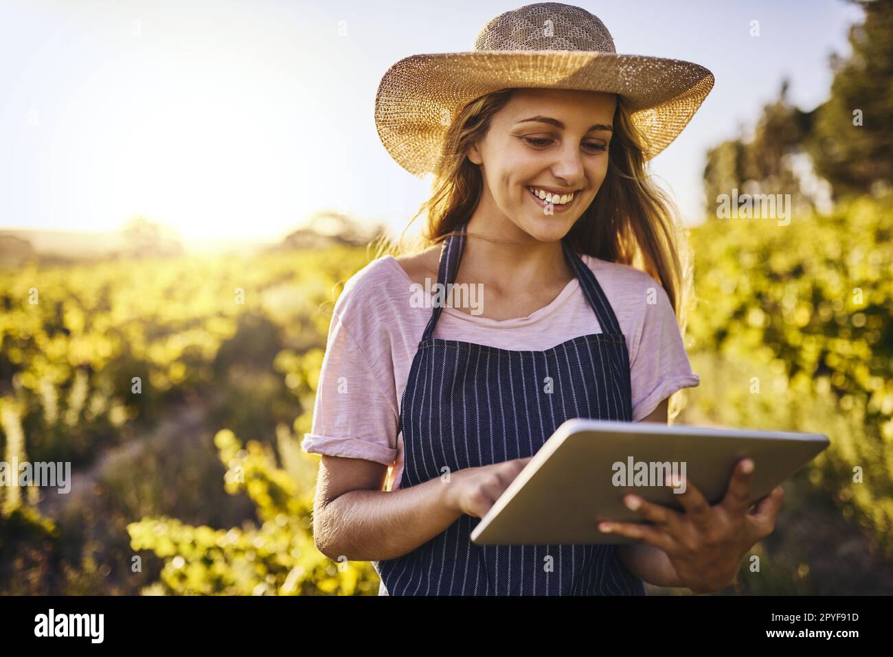 Farming apps are just a tap away. a young woman using a digital tablet on a farm. Stock Photo