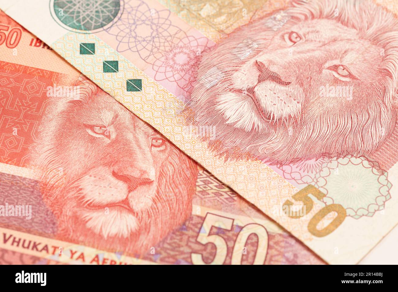 South African money 50 rand banknote. Stock Photo