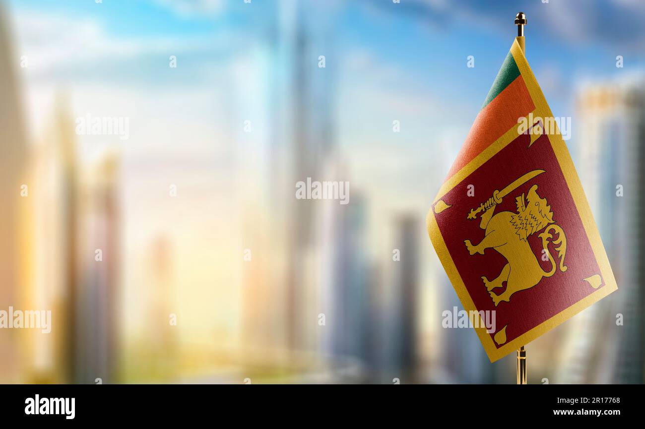 Small flags of the Sri Lanka on an abstract blurry background. Stock Photo