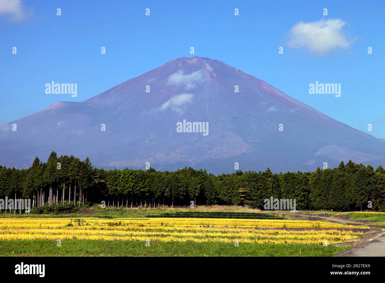 Farmland and Mount Fuji in a Gotemba neighborhood Stock Photo