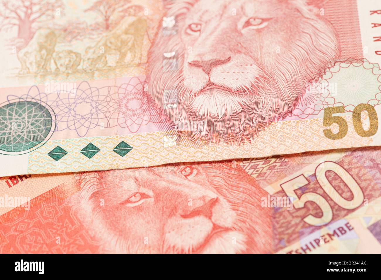 South African money 50 rand banknote. Stock Photo