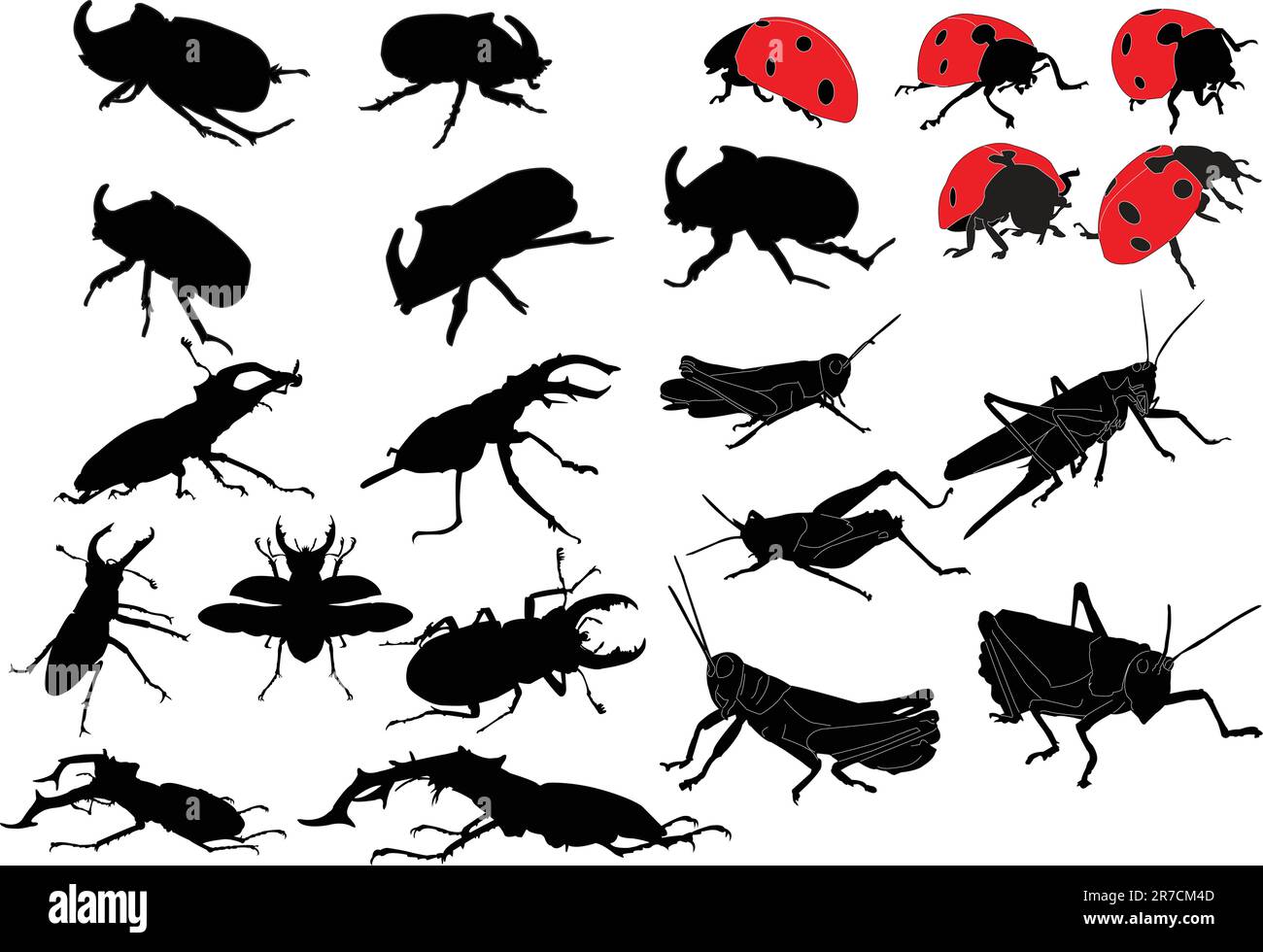 insects collection - vector Stock Vector