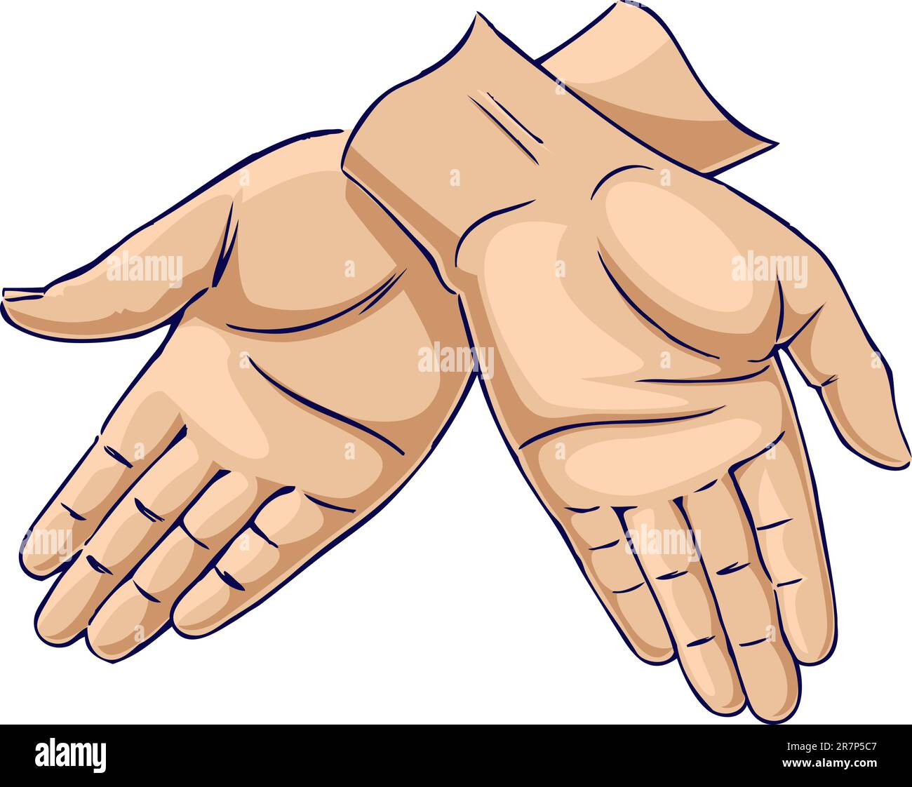 Hands crossed in a downward fashion. Used in aircraft taxiing to cease activity. Stock Vector