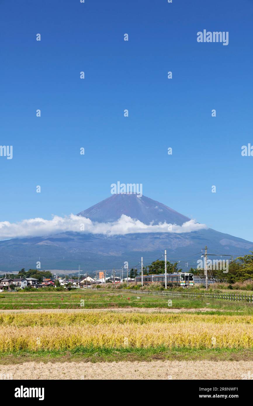 Mt.Fuji and Gotemba Line Stock Photo