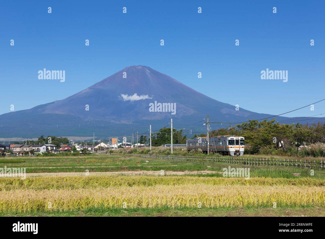 Mt.Fuji and Gotemba Line Stock Photo