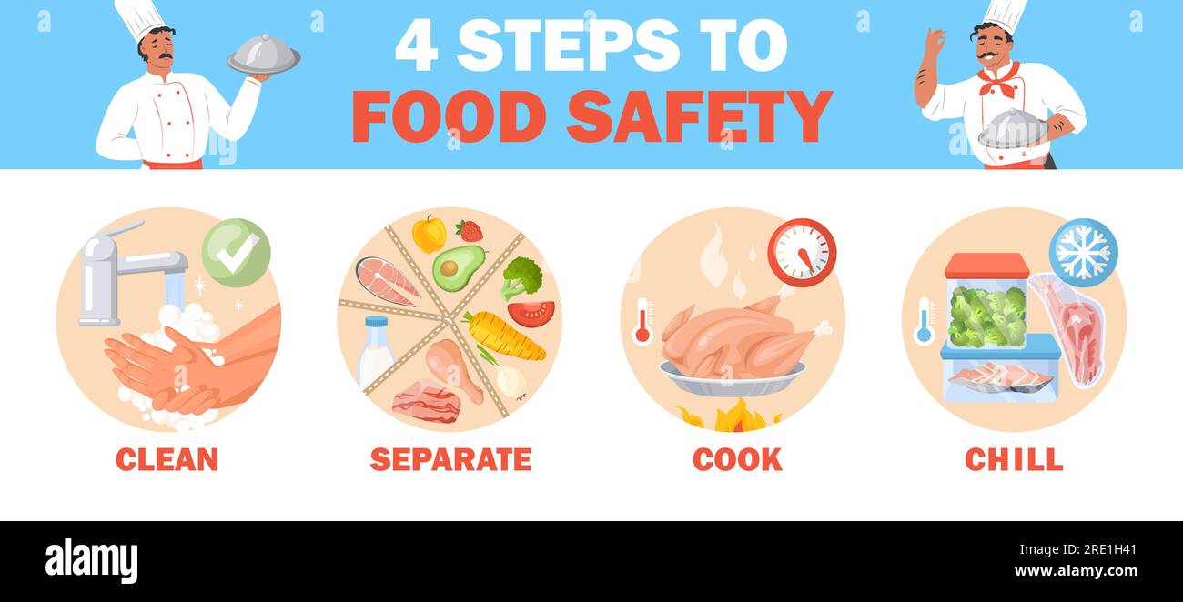 Clean, separate, cook and chill four steps for food safety vector ...