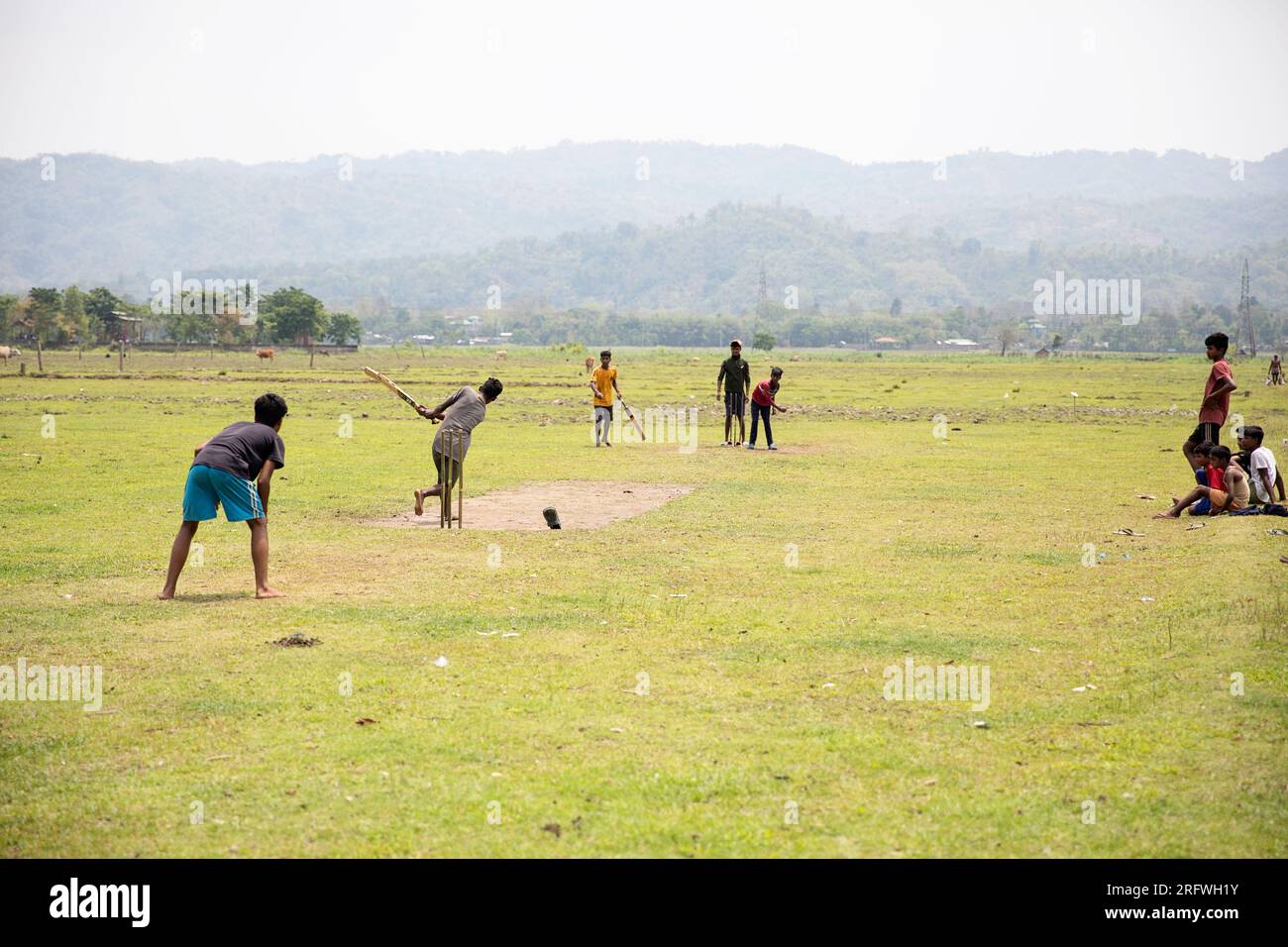 Boys playing cricket on the field Stock Photo