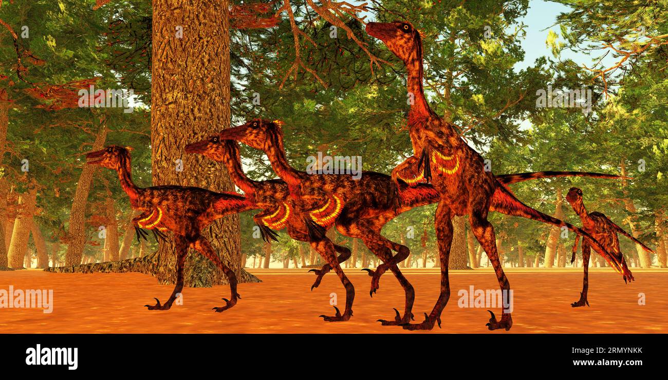 Carnivorous small dinosau hi-res stock photography and images - Alamy