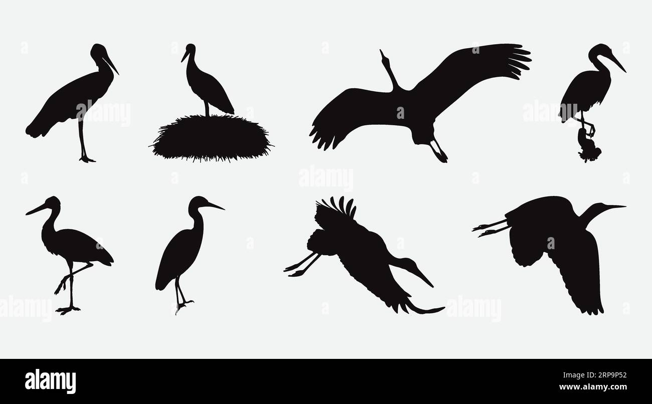 Graceful Stork Silhouettes, A Comprehensive Set of Elegant Bird Illustrations for Various Design Projects Stock Vector