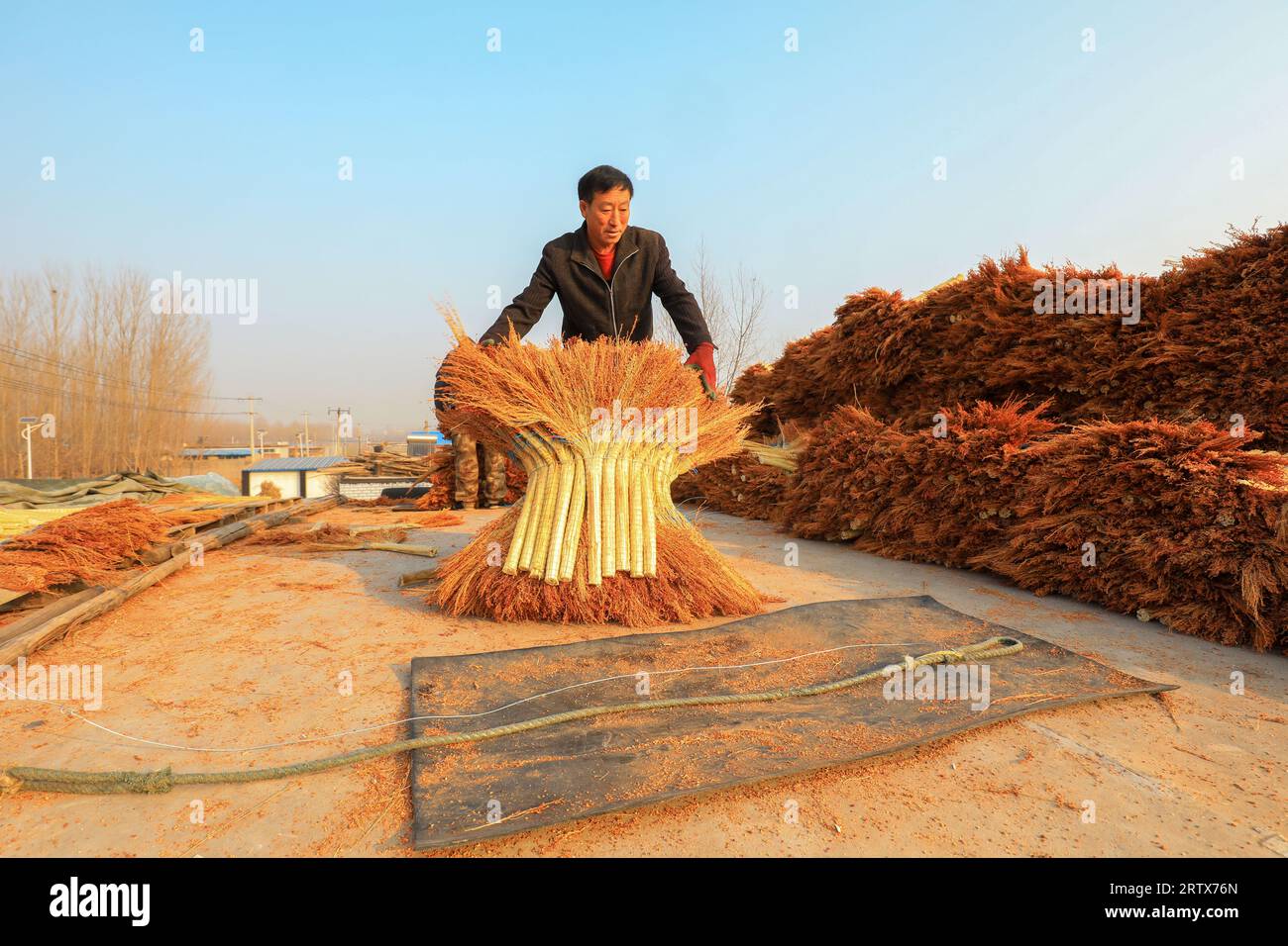 LUANNAN COUNTY, China - December 14, 2021: farmers pack brooms on the roof of a handmade workshop in North China Stock Photo