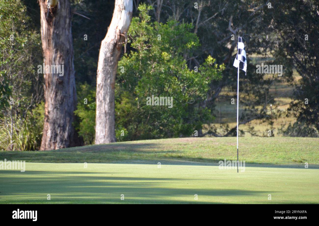 Black and white chequered golf flag stick on a sunny green with paperbark on the fringes in Noosa in Queensland Australia Stock Photo