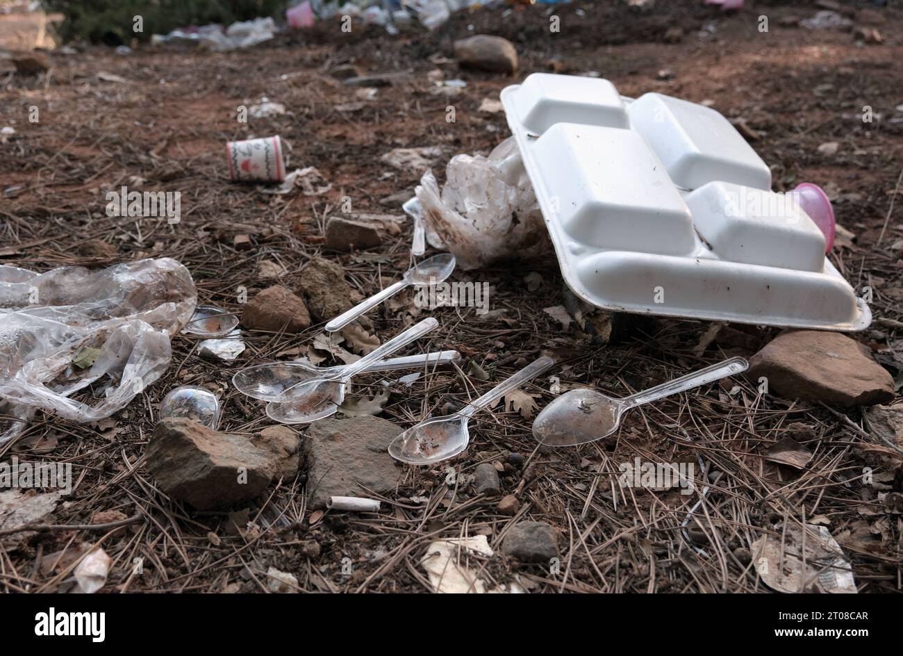 Single-use plastic cutlery left to nature. Polycarbonate trays used in takeaways. Stock Photo