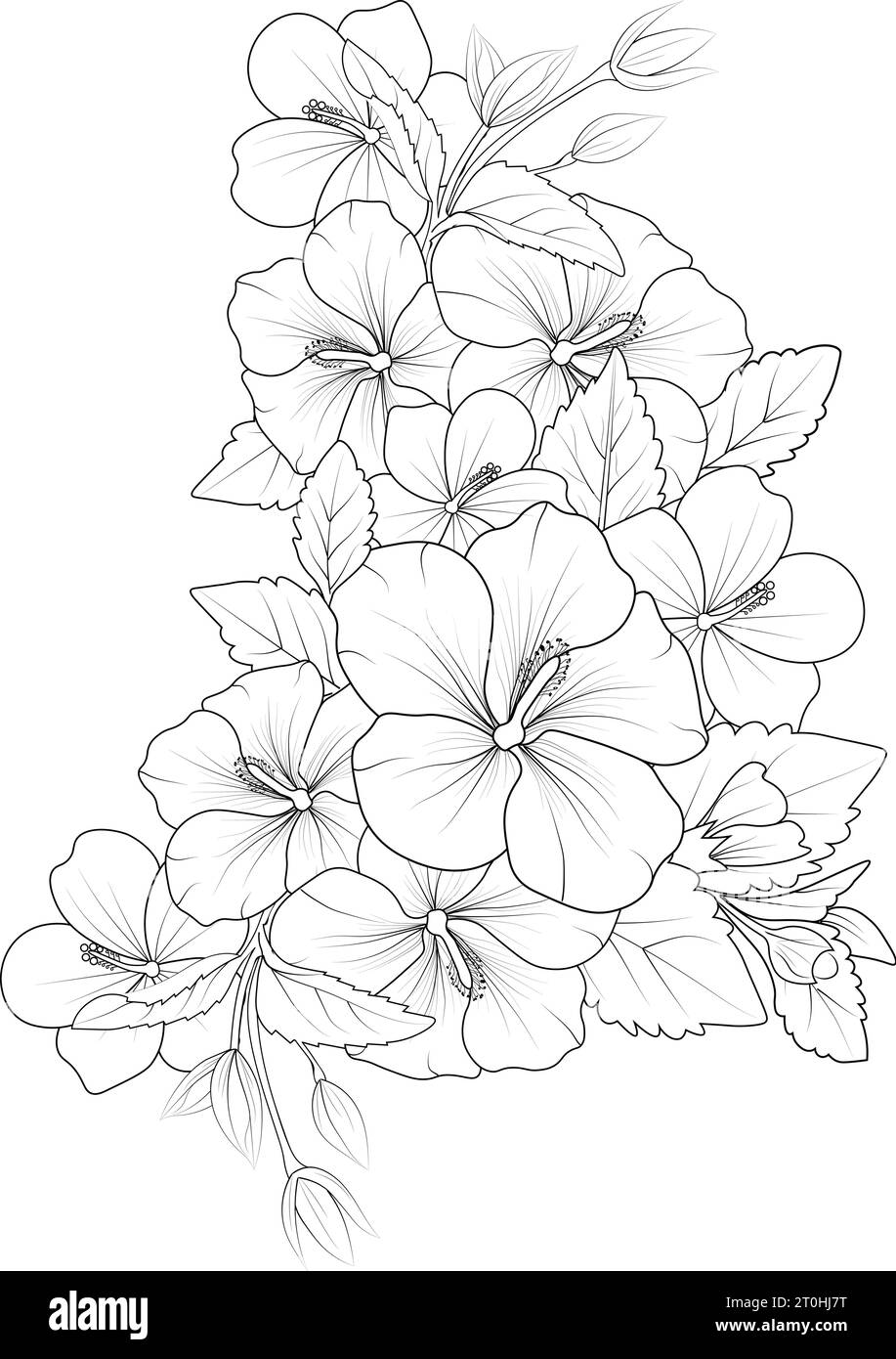 Hibiscus flower coloring pages. china rose flower drawing, Realistic ...