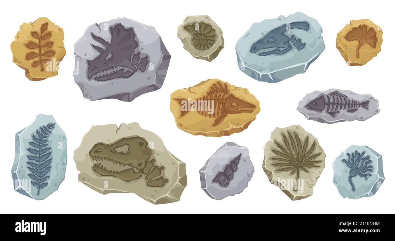 Dinosaur fossils of ancient fish skeleton and stone plant imprint, cartoon vector. Archeology fossil stones with prints of Jurassic dinosaur bones, fish and reptile with shells and extinct plants Stock Vector