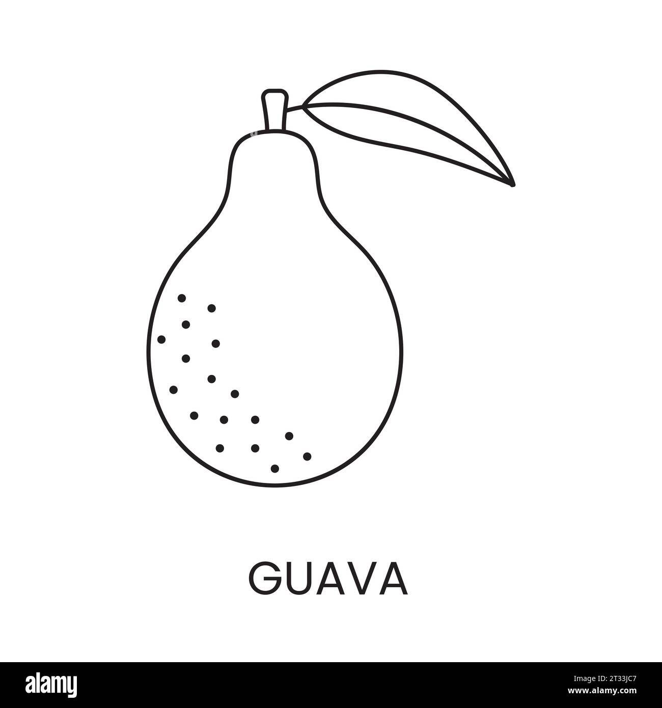 Guava Black And White