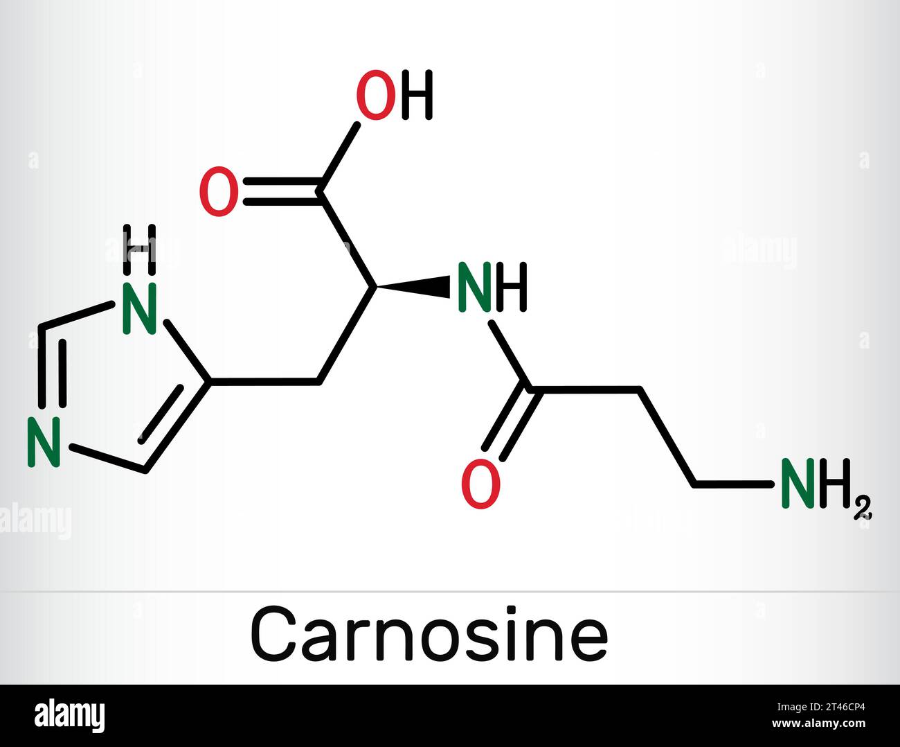 Carnosine dipeptide molecule. It is anticonvulsant, antioxidant, antineoplastic agent, human metabolite. Skeletal chemical formula. Vector illustratio Stock Vector