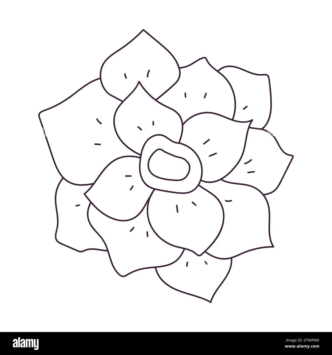 Hand drawn flower bud. Simple botanical element. Outline doodle vector black and white illustration isolated on a white background. Stock Vector