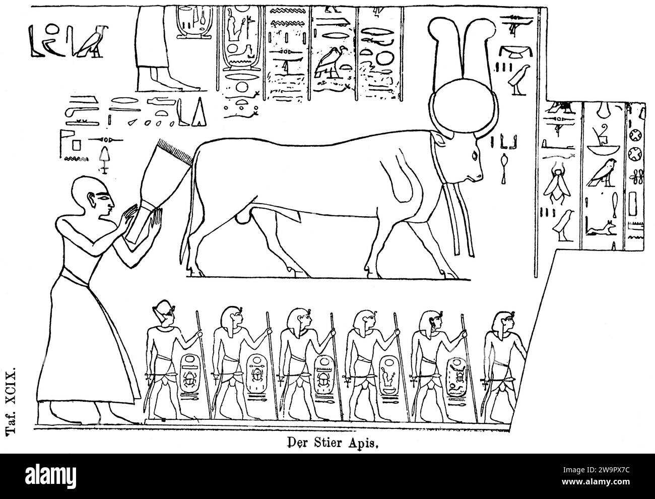 The sacred bull (Apis) of Memphis, Nile, Lower Egypt, Egyptian god of fertility, sun disc, connection to the sun god Re, hieroglyphs, antiquity Stock Photo