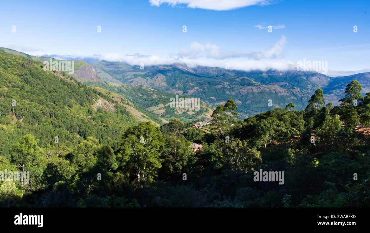 Beautiful landscape in the rural area of Munnar,Kerala,India. Stock Photo