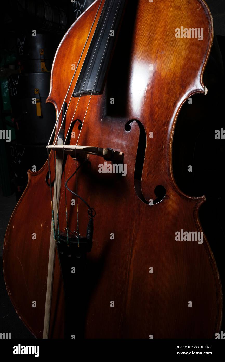 Detail of Double bass. Stock Photo