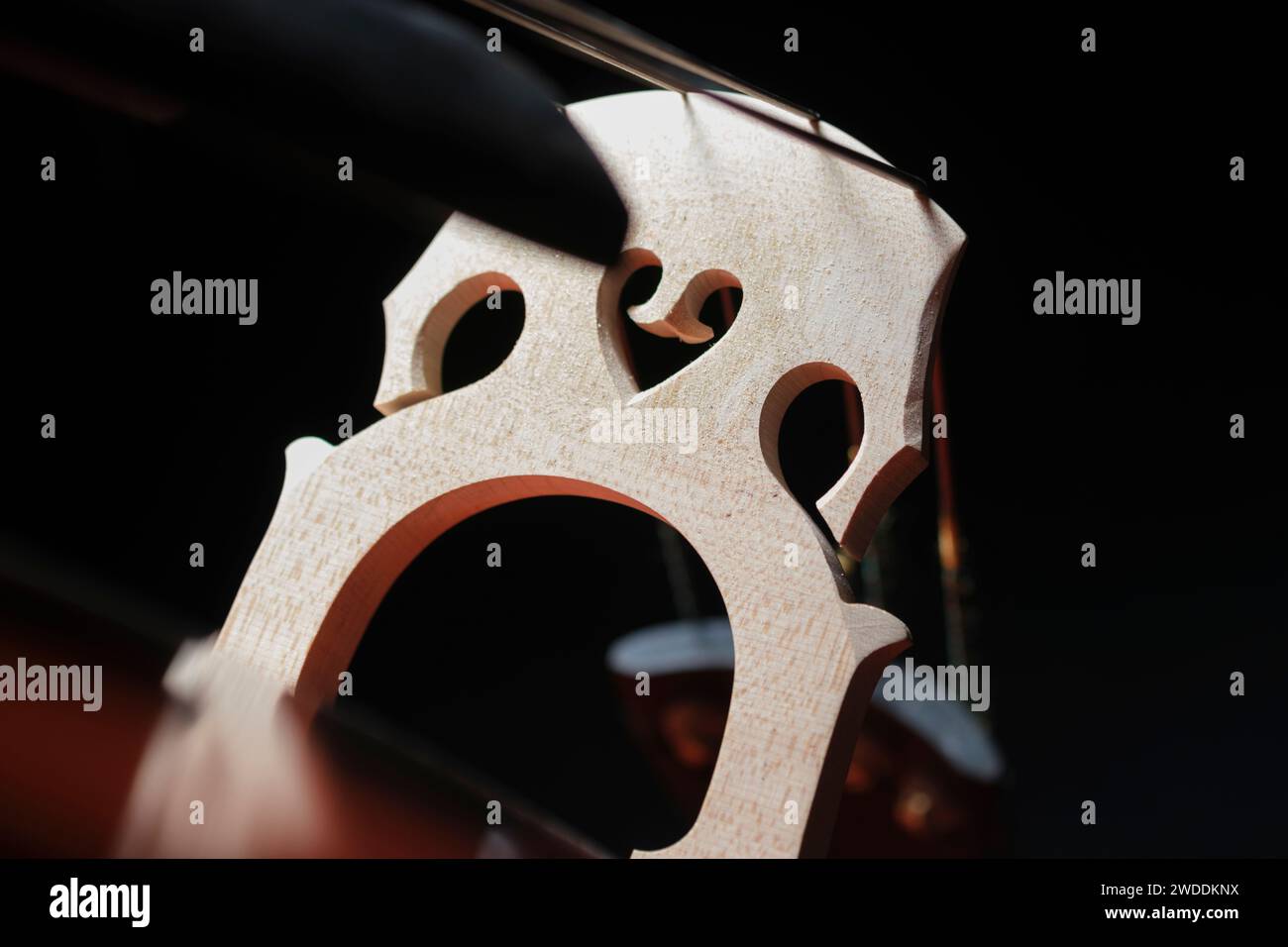 Detail of Double bass. Stock Photo