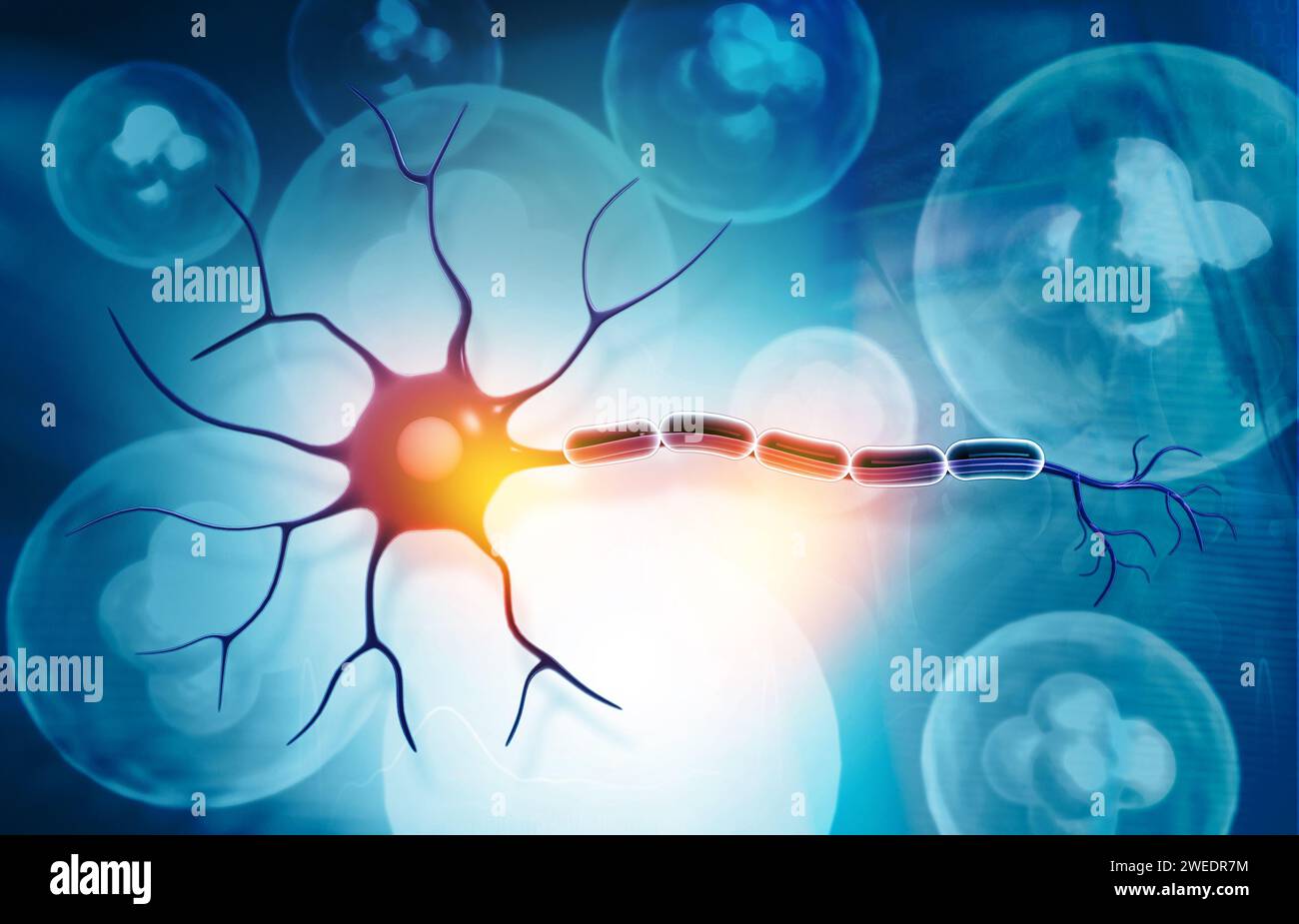 Nerve Cell on science background. 3d illustration Stock Photo - Alamy