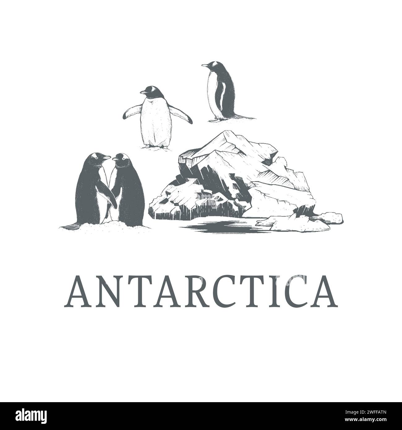 Antarctica vector illustration Stock Vector Image & Art - Alamy