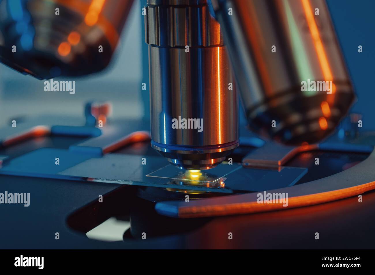 Petrology: Geologists use optical microscopes to analyze rock samples and identify mineral composition and texture. Stock Photo