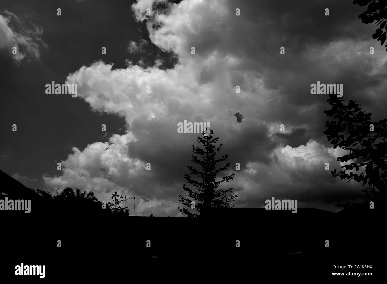 Under the dramatic contrast of a black and white cloudy sky, nature ...