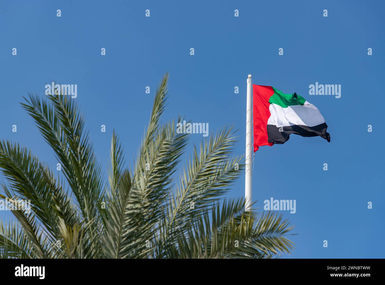 A picture of the United Arab Emirates flag Stock Photo - Alamy