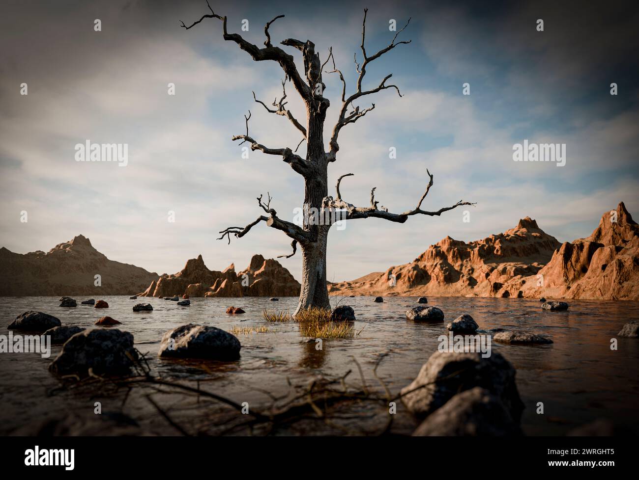 Cracked land and dead tree, 3D illustration Stock Photo