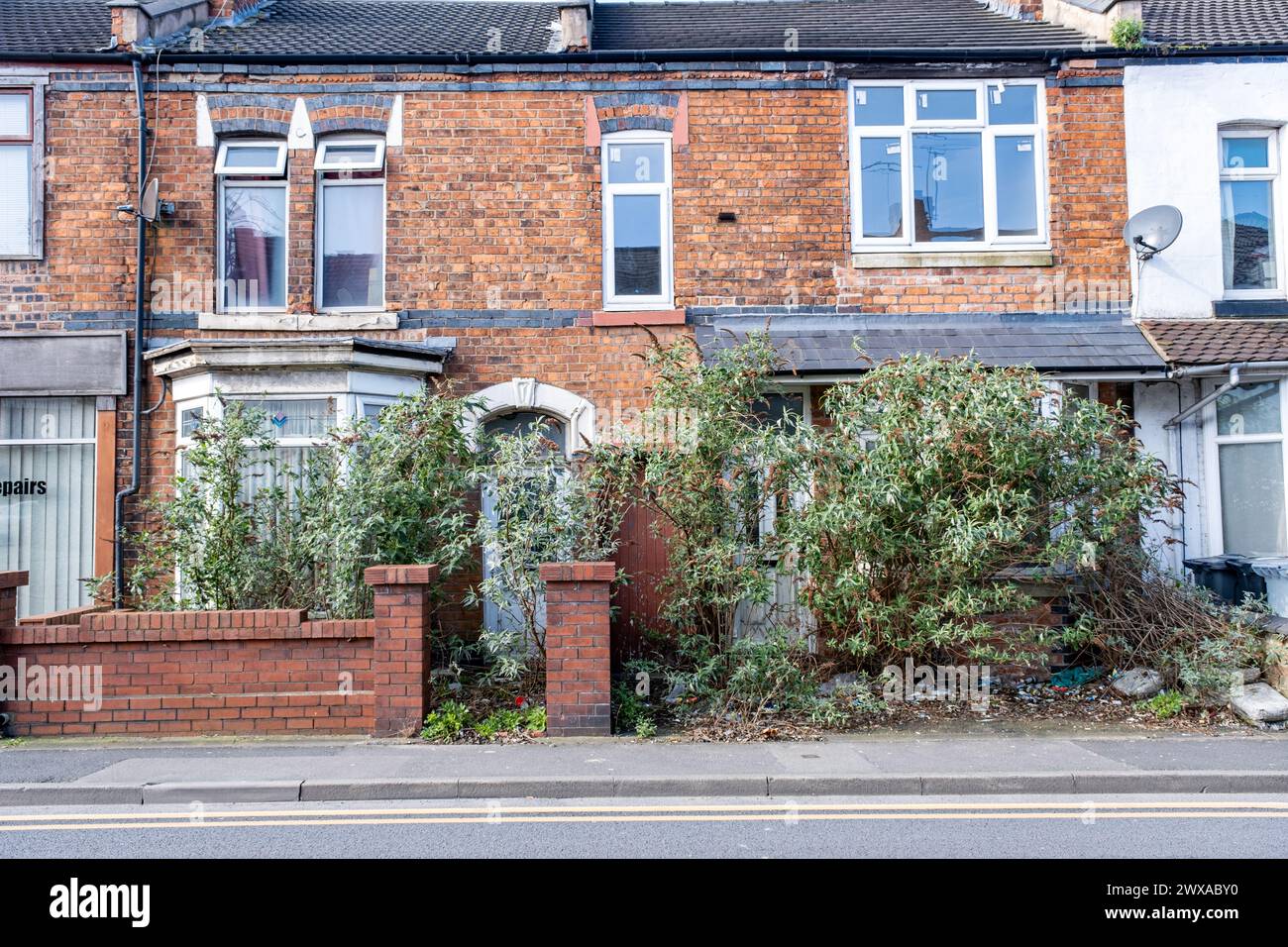 Overgrown gardens in front of terraced houses in Crewe UK Stock Photo