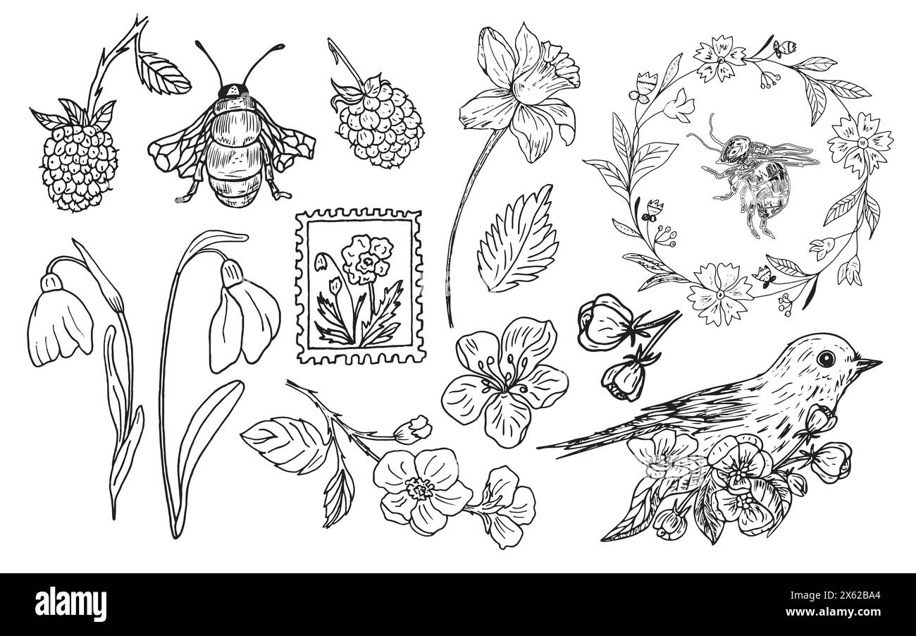 Vector set with blooming branches, flowers, berries, bird, wreath and bees. Botanical hand-drawn graphic sketch for postcards, invitations, tattoos Stock Vector