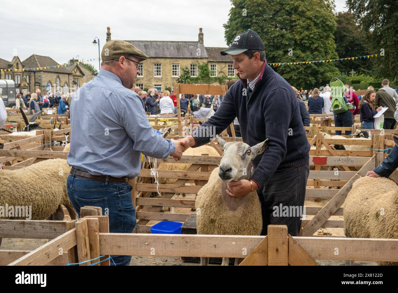 Judge shaking hands with a male entrant standing in a wooden pen with his prize sheep at the Masham Sheep Fair, UK Stock Photo