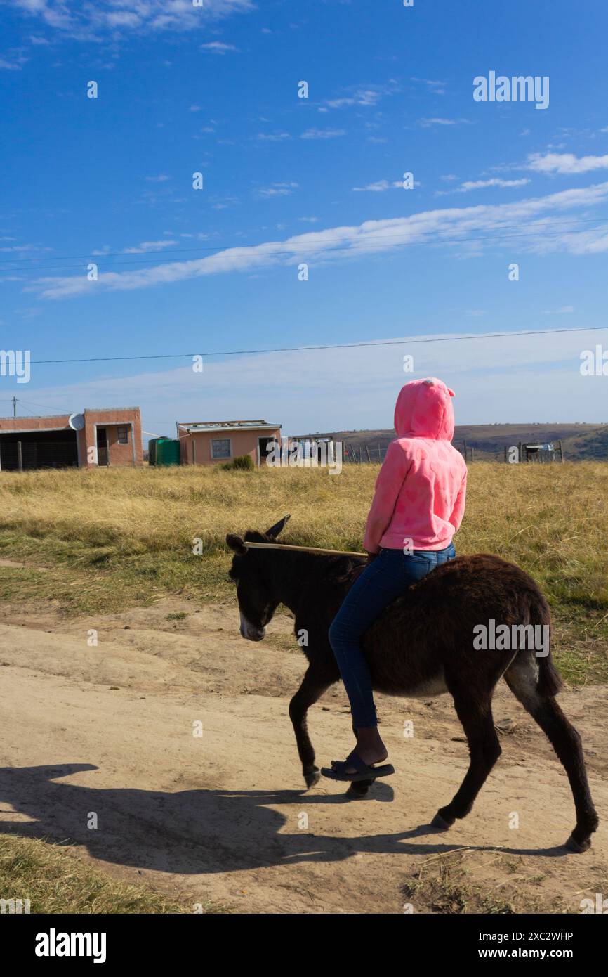 Young girl riding a donkey Stock Photo