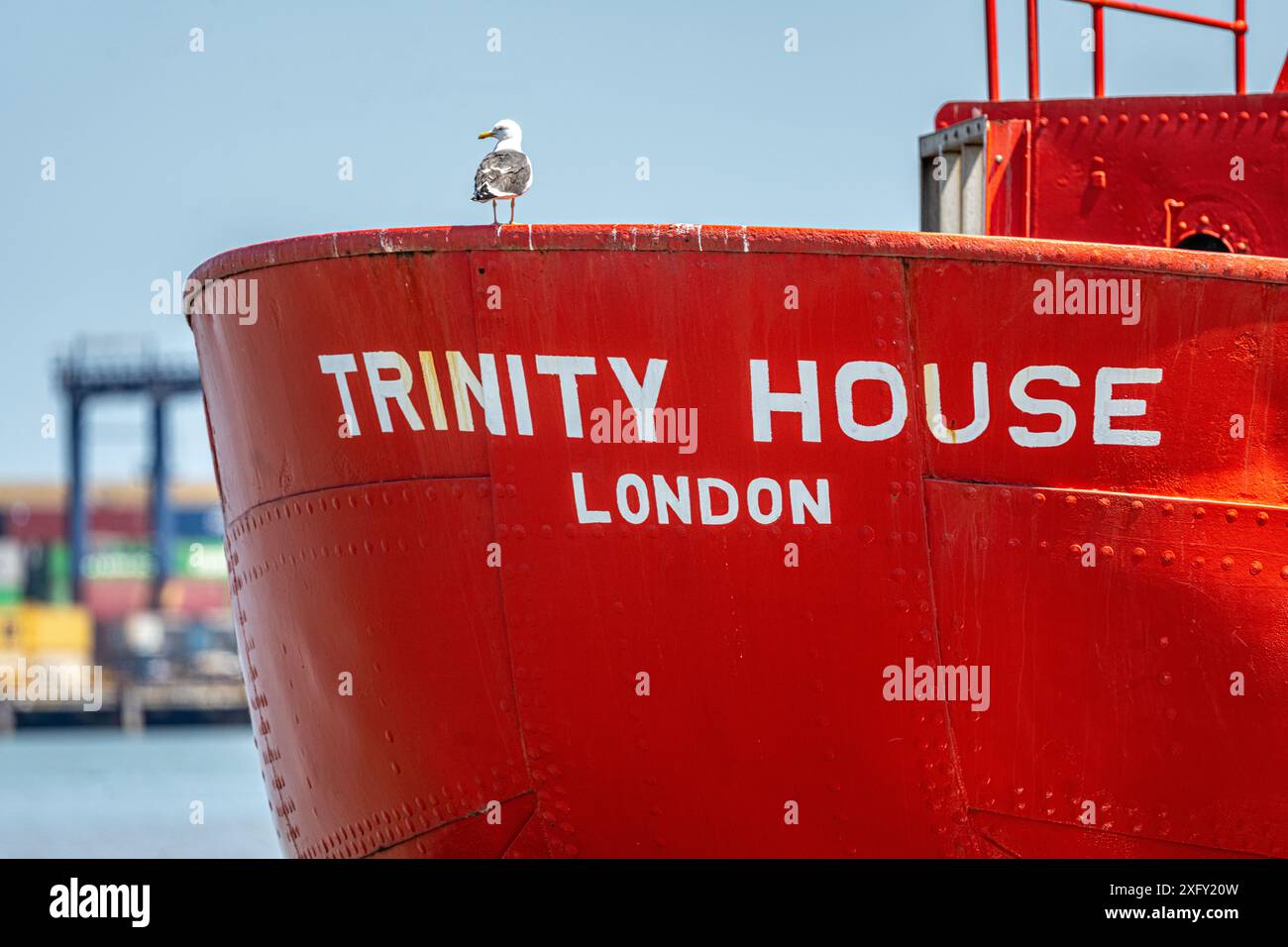 Seagull sitting on a Trinity House lighthouse, lightvessel, moored at Felixstowe, River Orwell, Suffolk, England, UK Stock Photo