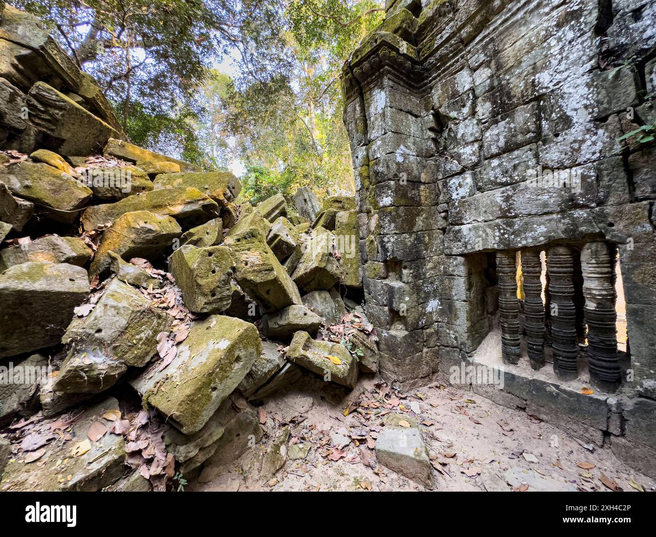 Ta Prohm Temple, a Mahayana Buddhist monastary built in the late 12th century for Khmer king Jayavarman VII, Cambodia. Stock Photo